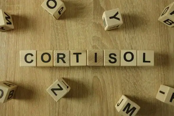The Hidden Connection: How Stress Shapes Your Fitness and Body Composition 2 Image saying "Cortisol" and how stress Northwich impacts your wellbeing and bodies shape